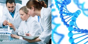 Bioinformatics Careers