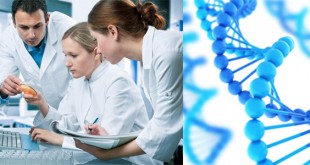 Bioinformatics Careers