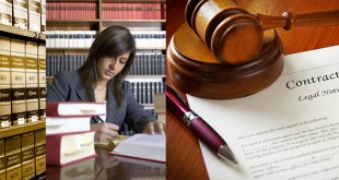 Corporate Lawyer Career