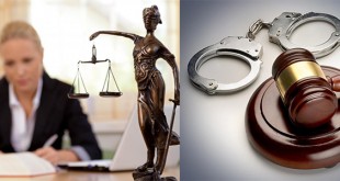 Criminal Lawyer Career