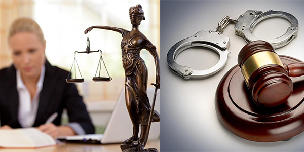 Criminal Lawyer Career