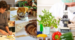 Food Technology Career