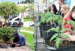 Horticulture Career