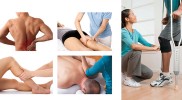 Bachelors in Physiotherapy