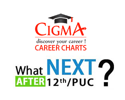 CIGMA Career Chart After 12th