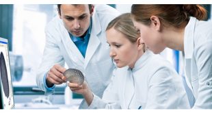 paramedical