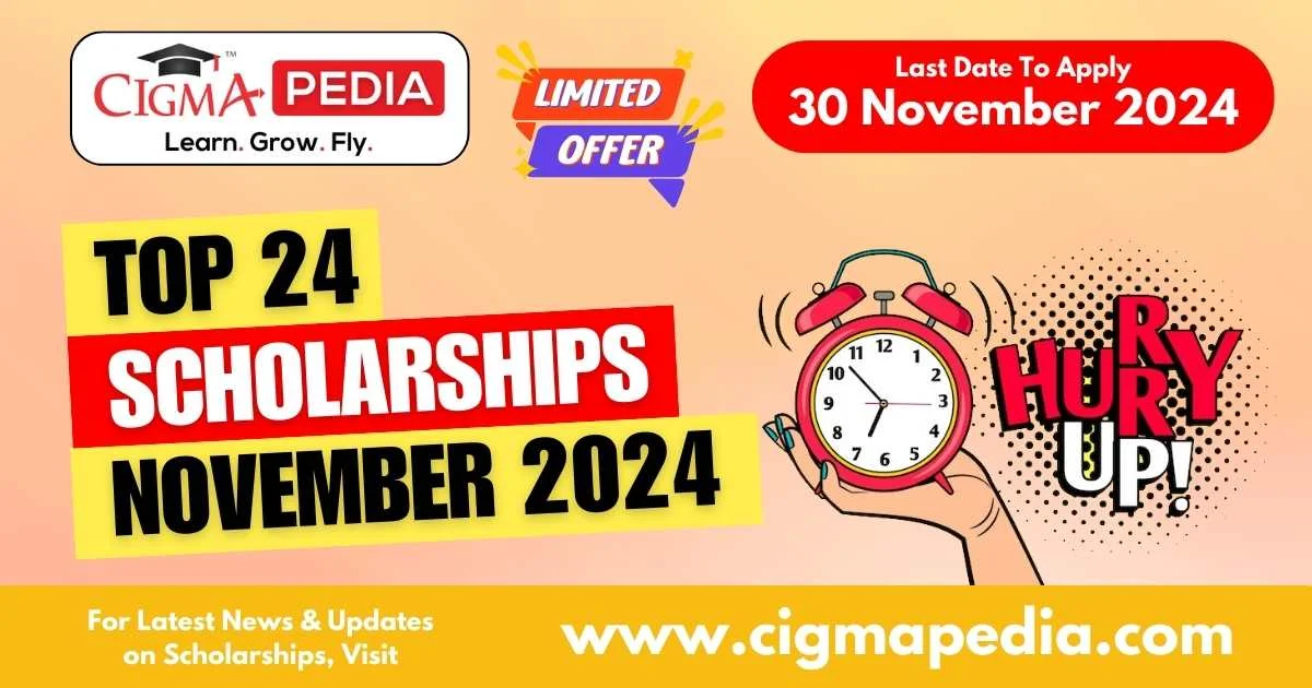 Scholarships for November 2024